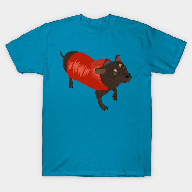 Brown Dog in a Red Puffer Jacket T-Shirt by Alissa Carin